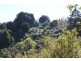 133 Fairbrothers Road, Mirboo VIC 3871