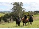 6 Grandridge Road, Mirboo North VIC 3871