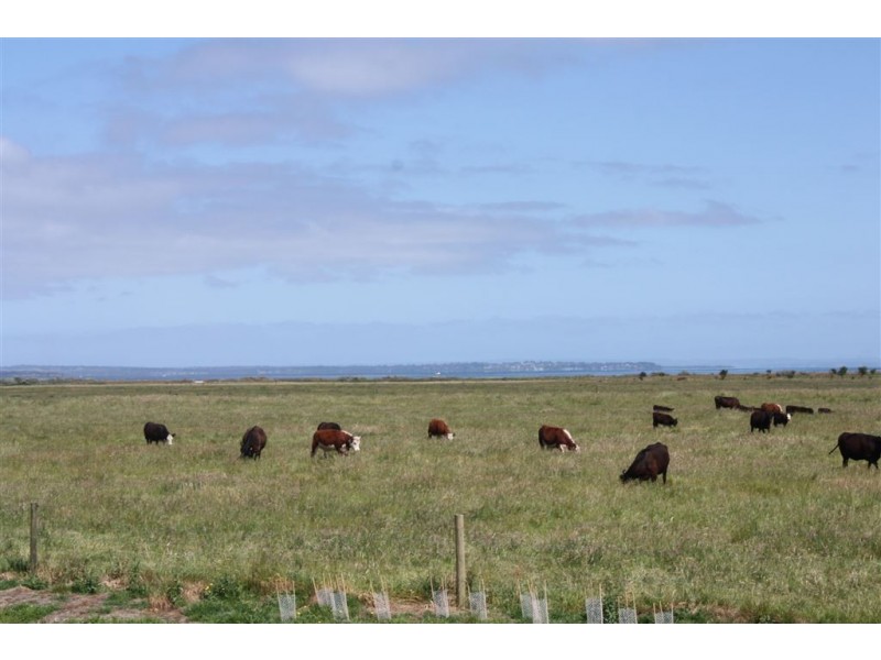 4 Netherwood Lane, Bass VIC 3991