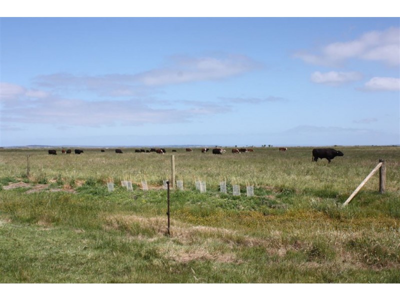 4 Netherwood Lane, Bass VIC 3991