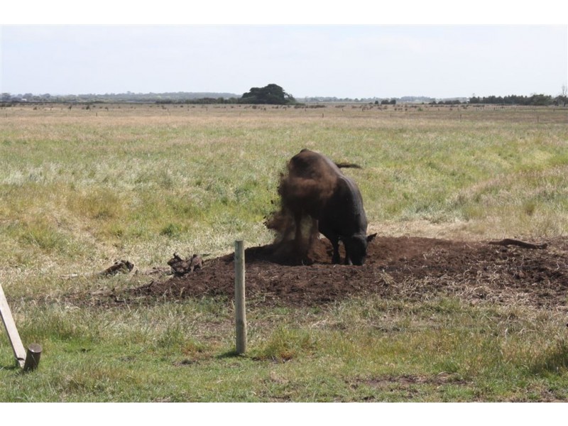 4 Netherwood Lane, Bass VIC 3991