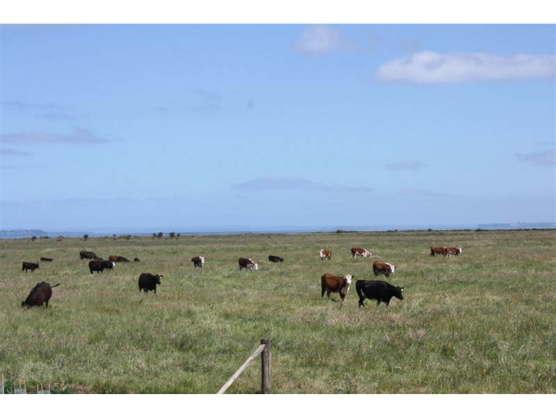 4 Netherwood Lane, Bass VIC 3991