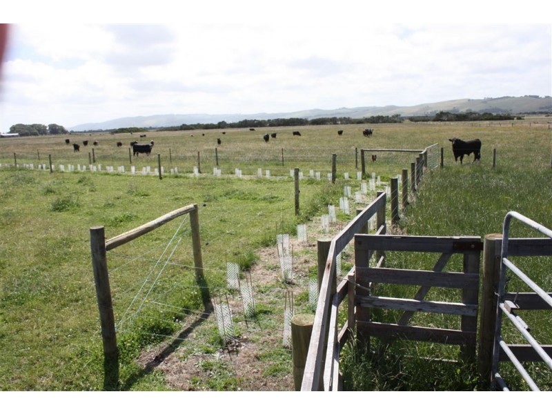 4 Netherwood Lane, Bass VIC 3991