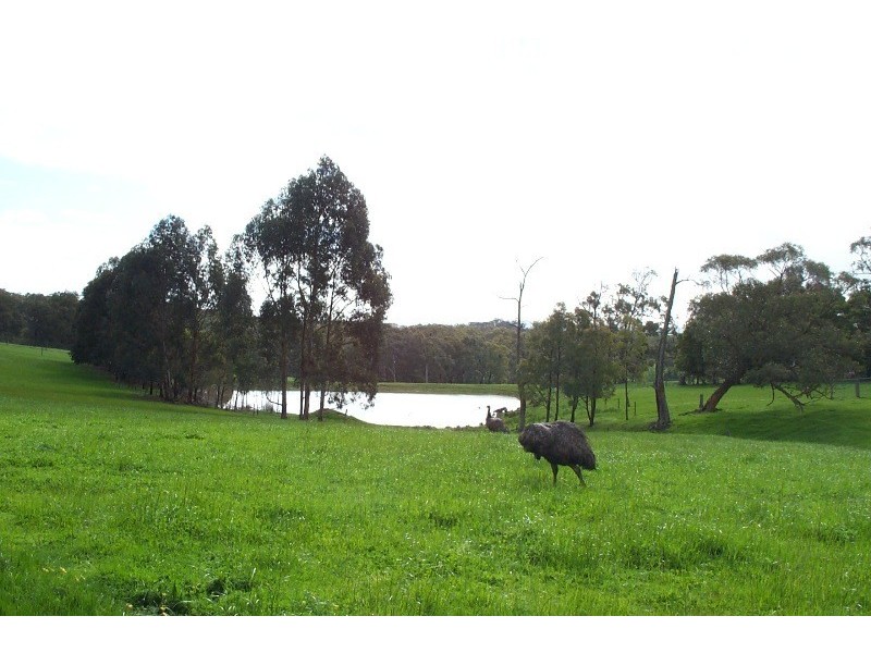 70 Caithness Road, Koonwarra VIC 3954