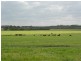 140 Corinella Road, Corinella VIC 3984