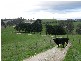 170A Sullivans Road, Korumburra VIC 3950