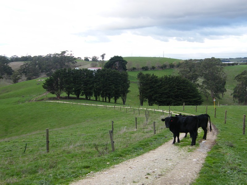 170A Sullivans Road, Korumburra VIC 3950