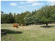 30 Koetsveldt Road, Ryanston VIC 3992