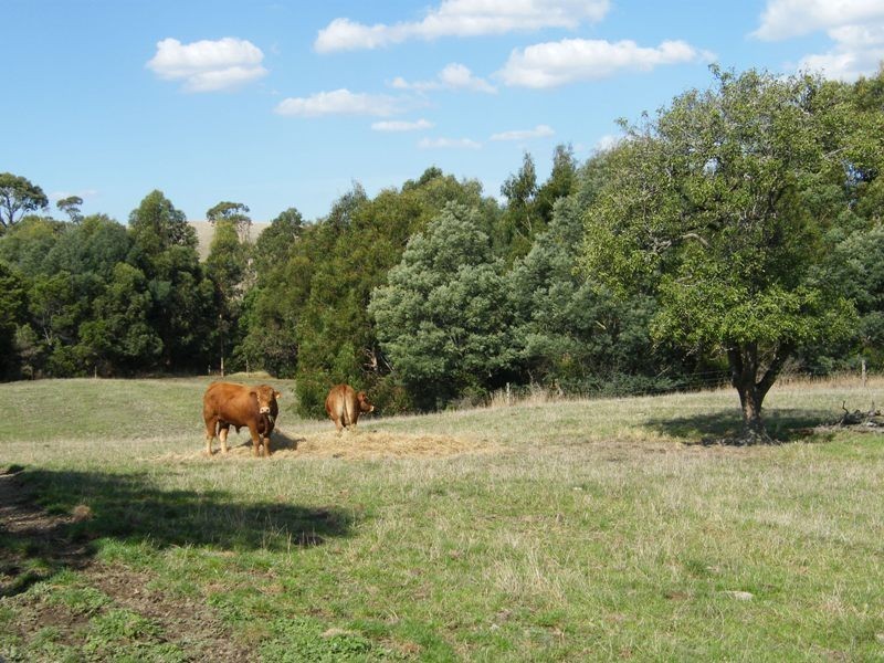 30 Koetsveldt Road, Ryanston VIC 3992