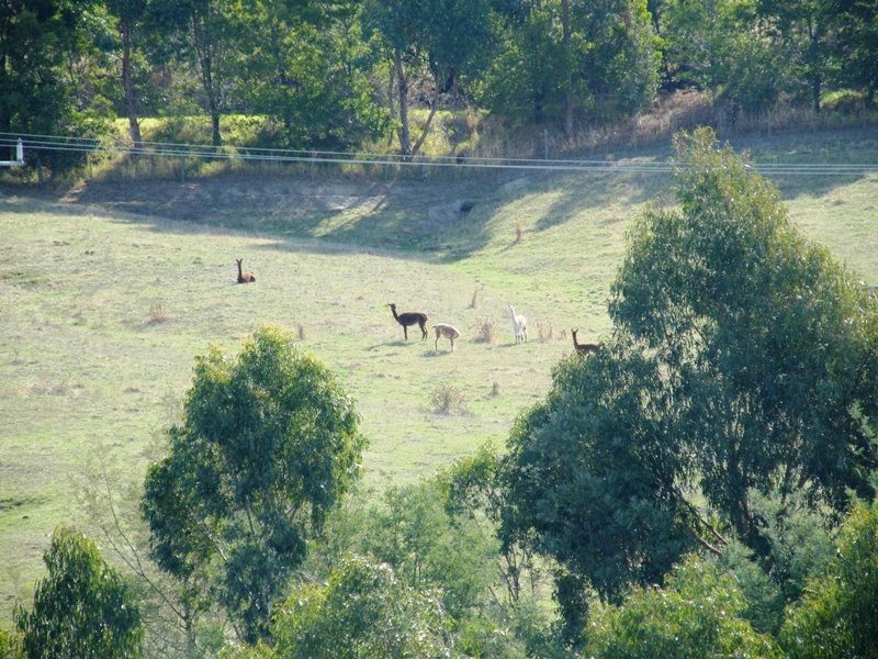 30 Koetsveldt Road, Ryanston VIC 3992