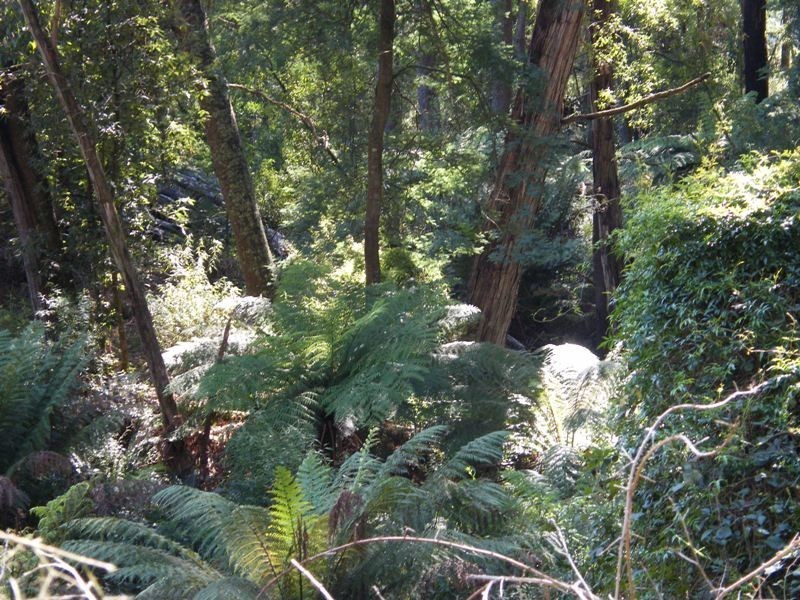 280 Limonite Road, Boolarra VIC 3870