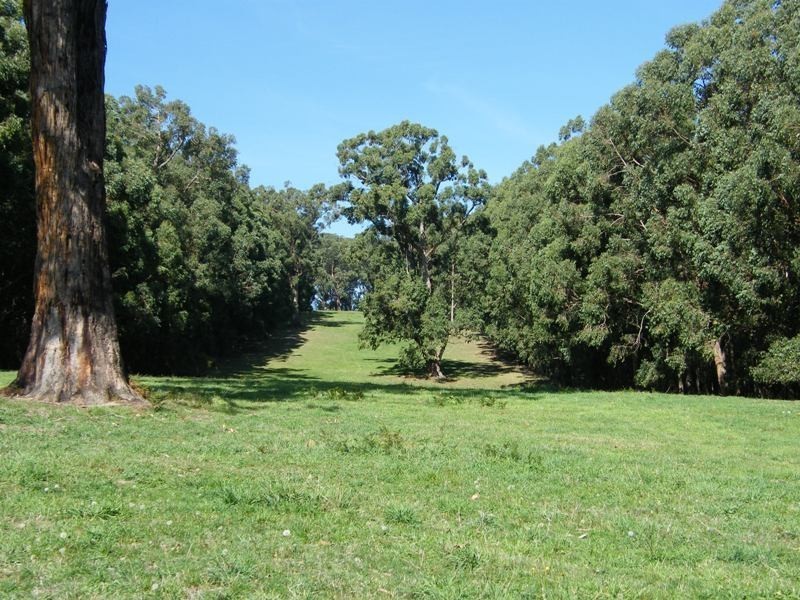 280 Limonite Road, Boolarra VIC 3870