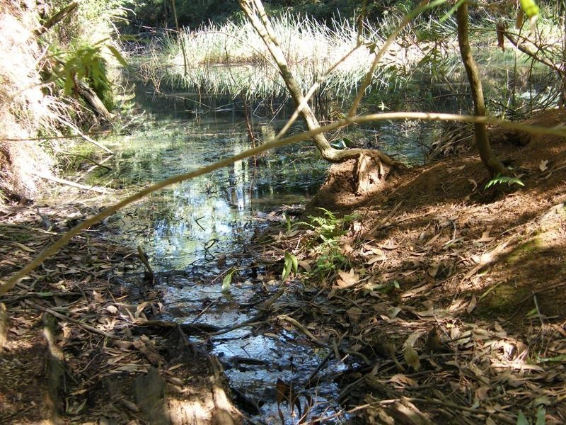 280 Limonite Road, Boolarra VIC 3870