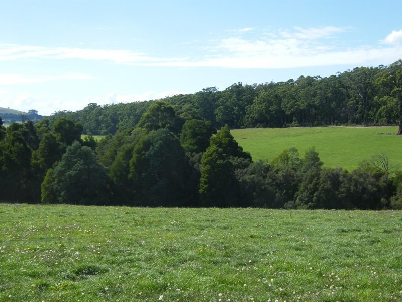 280 Limonite Road, Boolarra VIC 3870