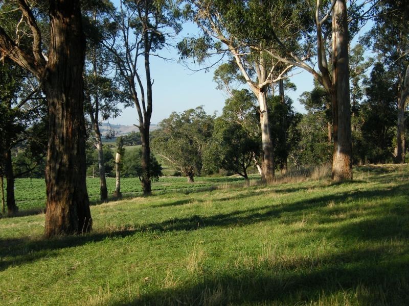 1105 Loch Kernot Road, Kernot VIC 3979