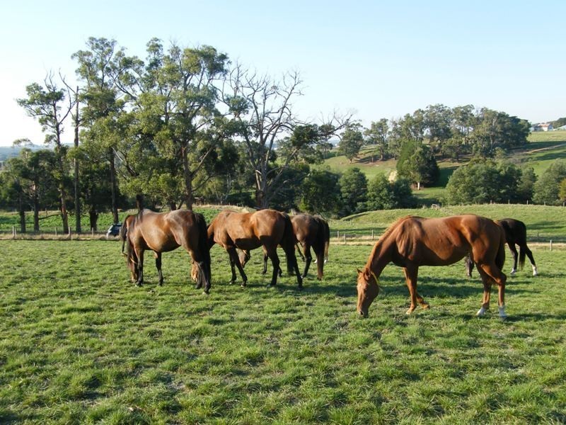 1105 Loch Kernot Road, Kernot VIC 3979