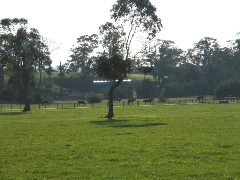 1105 Loch Kernot Road, Kernot VIC 3979