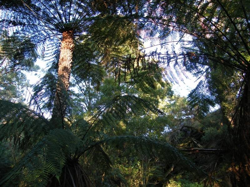 1105 Loch Kernot Road, Kernot VIC 3979