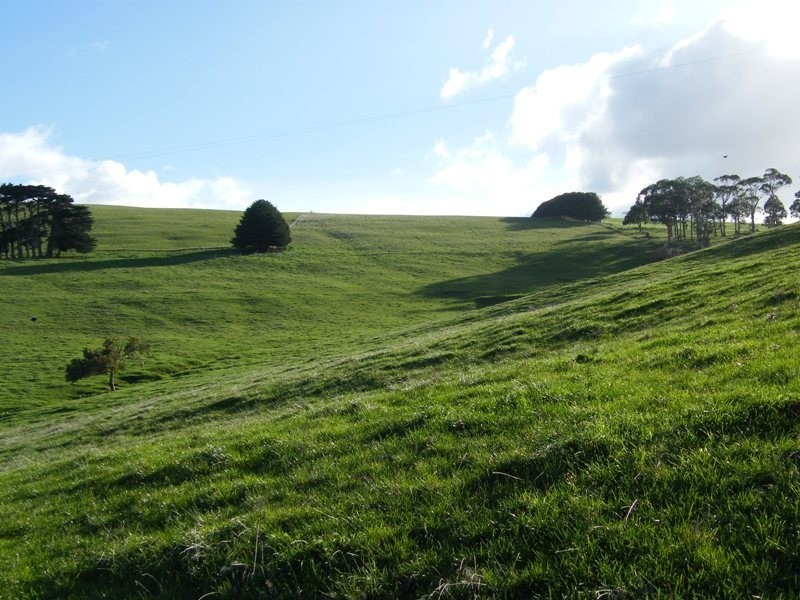 584 Clancy’s Road, Korumburra South VIC 3950