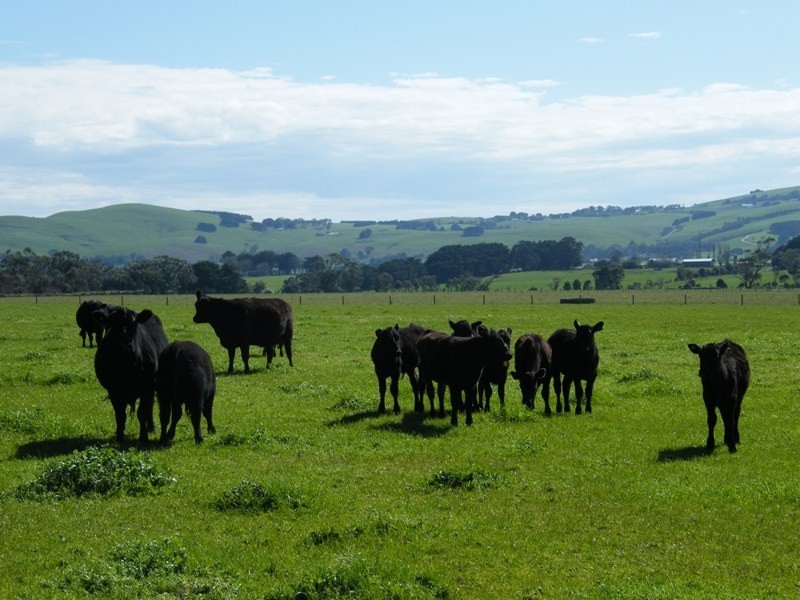 Lot 2 Cosgriffs Road, Outtrim VIC 3951