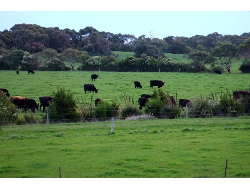 175 Martyn’s Lane, Inverloch VIC 3996