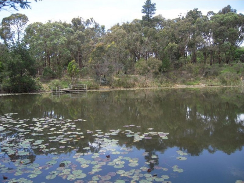 342 Wonga Road, Warranwood VIC 3134