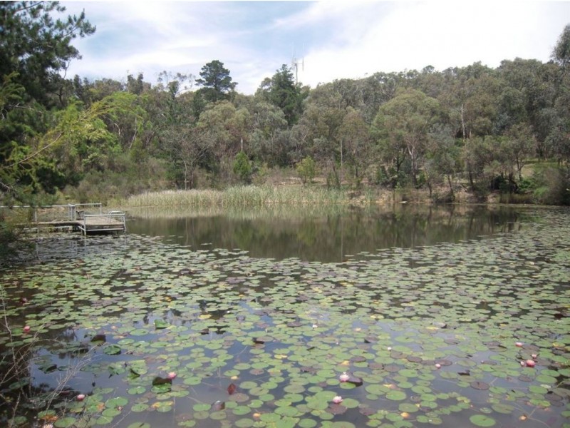 342 Wonga Road, Warranwood VIC 3134