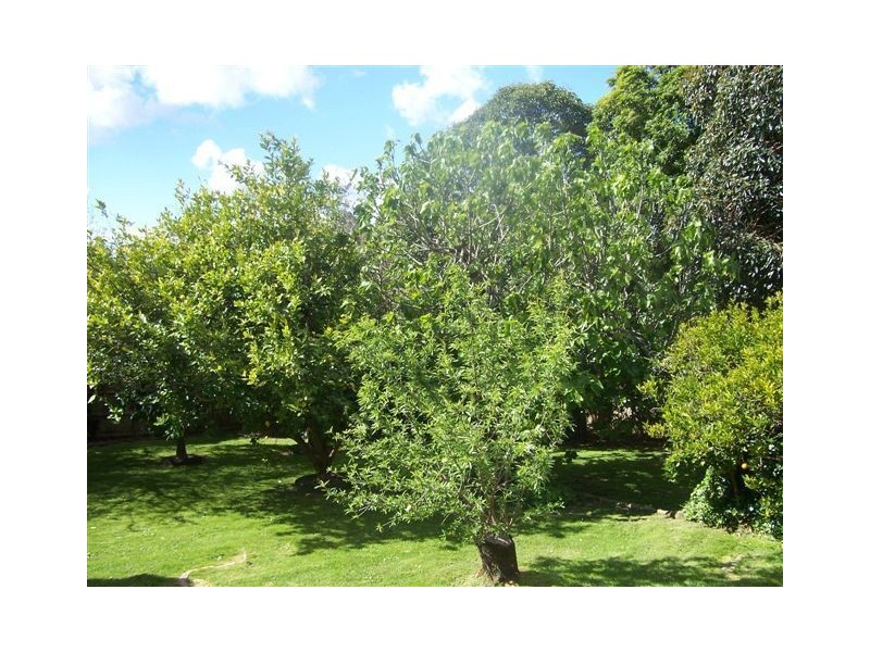 30 Lockhart Road, Ringwood North VIC 3134