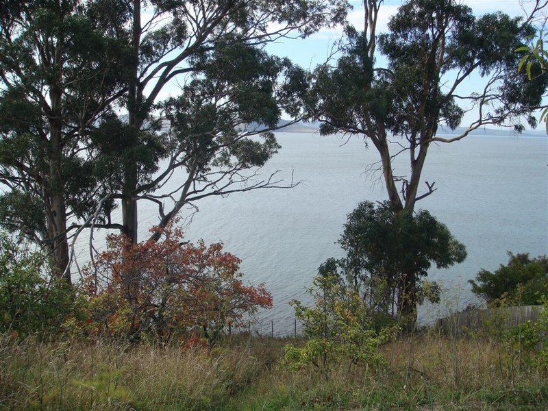 894 Sandy Bay Road, Sandy Bay TAS 7005