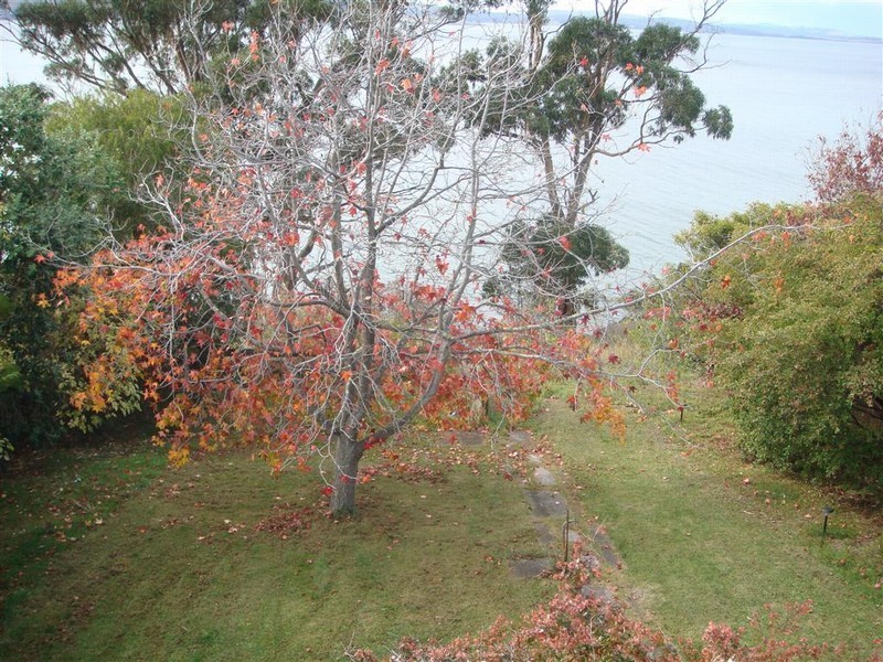 894 Sandy Bay Road, Sandy Bay TAS 7005