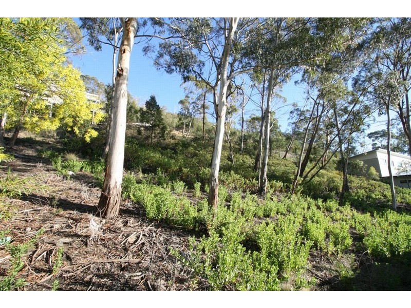 33 Gardenia Grove, Sandy Bay TAS 7005