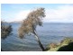 728B Sandy Bay Road, Sandy Bay TAS 7005