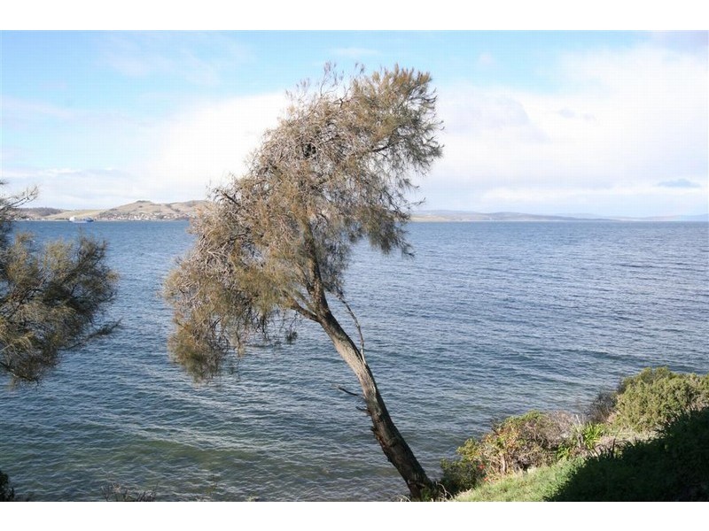 728B Sandy Bay Road, Sandy Bay TAS 7005
