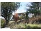 8 Chestnut Avenue, Lutana TAS 7009