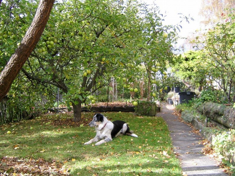 6 Manresa Court, Sandy Bay TAS 7005