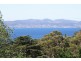 242 Churchill Avenue, Sandy Bay TAS 7005