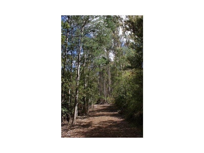 Lenah Valley TAS 7008