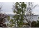 4 Portland Place, Sandy Bay TAS 7005