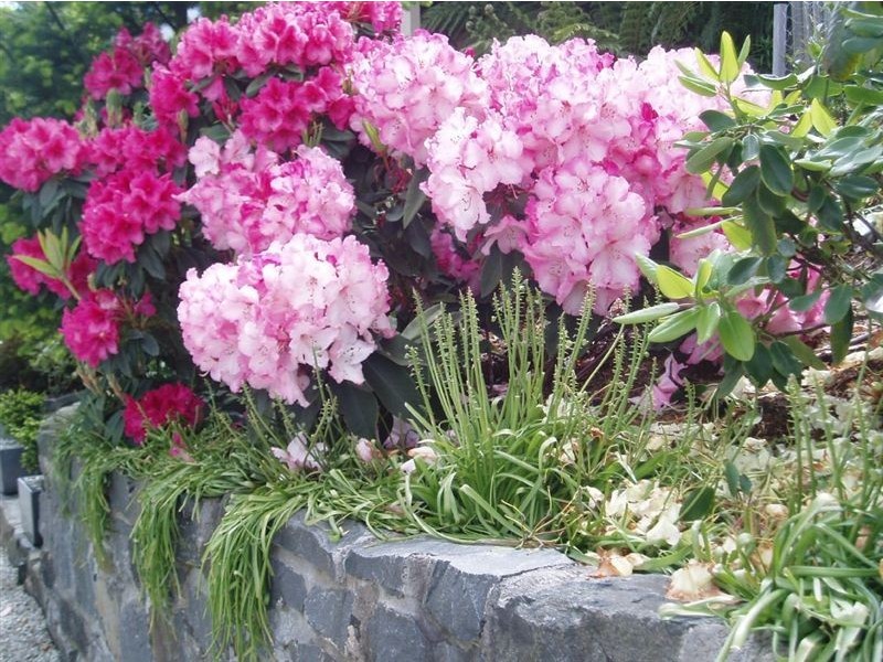 15 Grays Road, Fern Tree TAS 7054