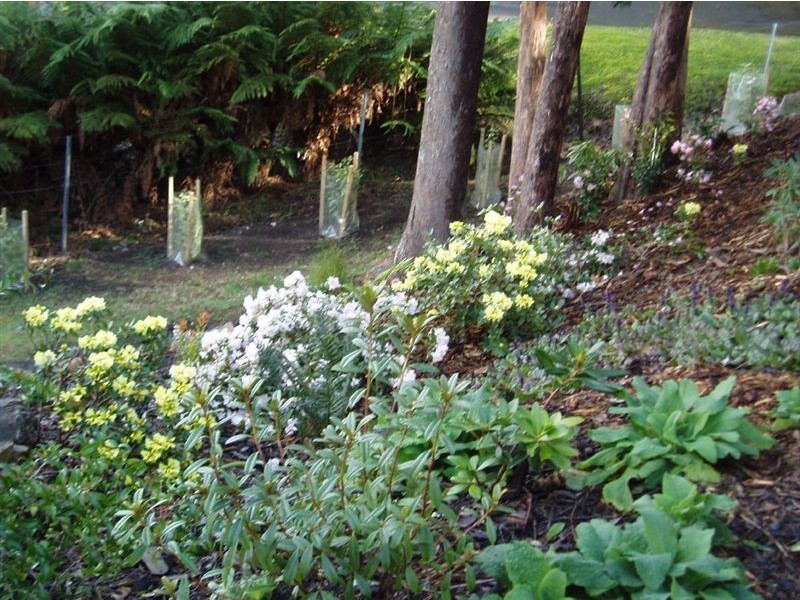 15 Grays Road, Fern Tree TAS 7054