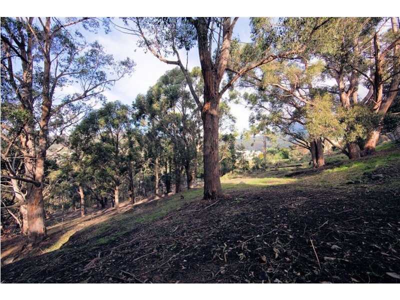 152 Forest Road, West Hobart TAS 7000