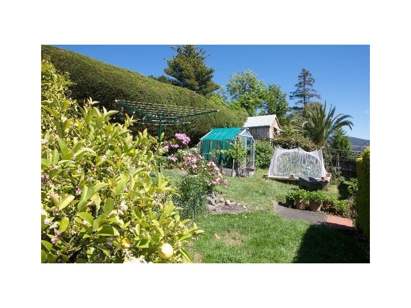11 Red Knigts Road, Sandy Bay TAS 7005