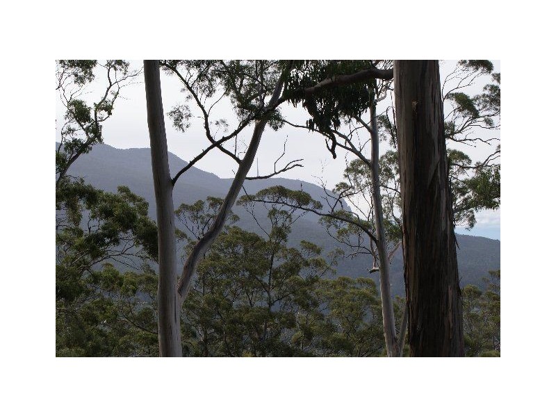 Lot 1 & 2 Morphetts Road, Neika TAS 7054