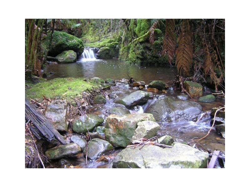 Lot 1 & 2 Morphetts Road, Neika TAS 7054