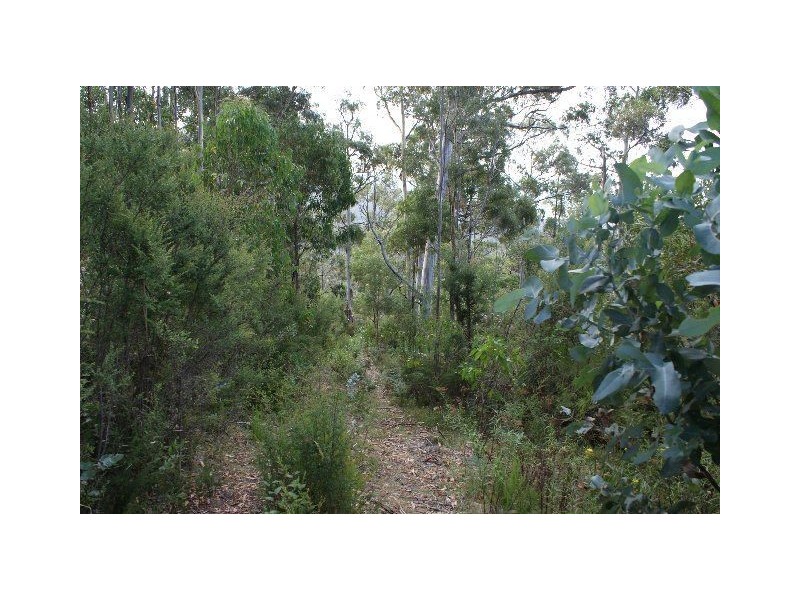 Lot 1 & 2 Morphetts Road, Neika TAS 7054