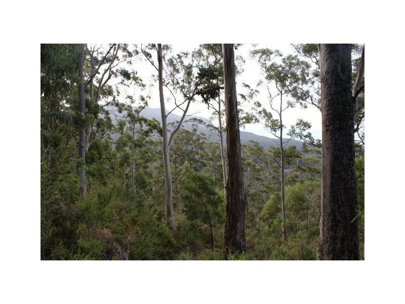 Lot 1 & 2 Morphetts Road, Neika TAS 7054