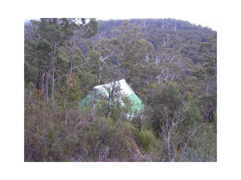 Lot 1 & 2 Morphetts Road, Neika TAS 7054