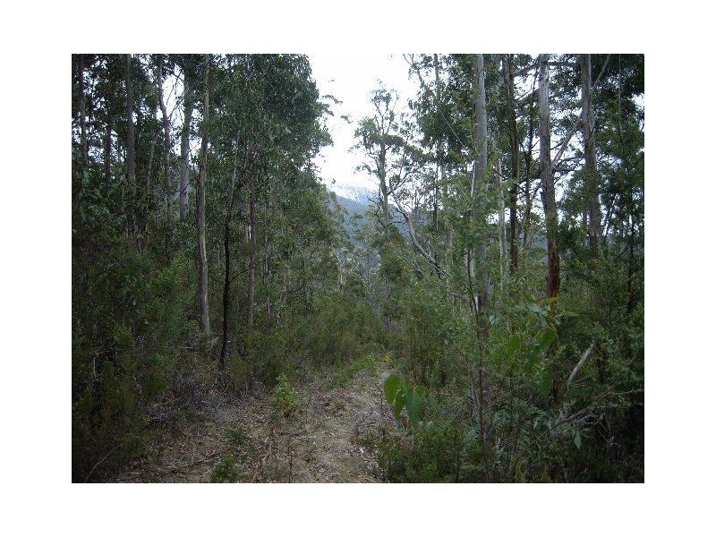 Lot 1 & 2 Morphetts Road, Neika TAS 7054