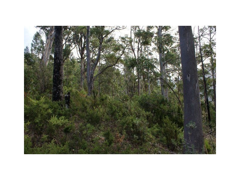 Lot 1 & 2 Morphetts Road, Neika TAS 7054