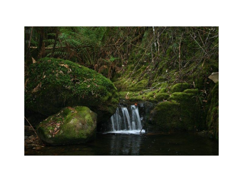 Lot 1 & 2 Morphetts Road, Neika TAS 7054